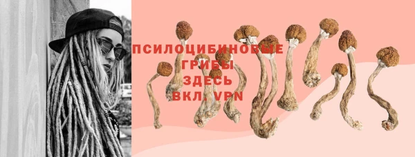Альфа ПВП Красноперекопск