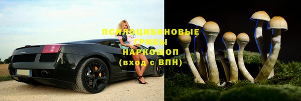 круглые Краснослободск