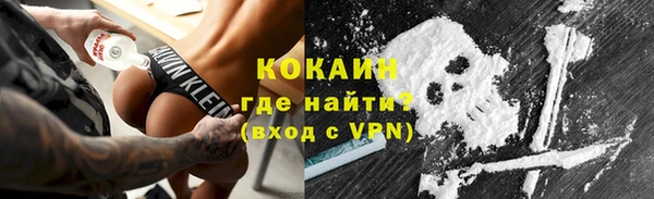 гидра Коряжма