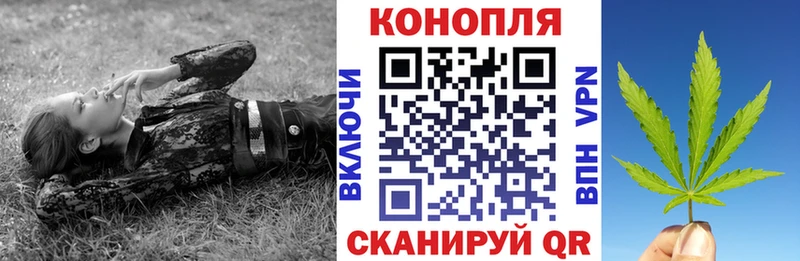 Шишки марихуана план  Купить  Иланский 